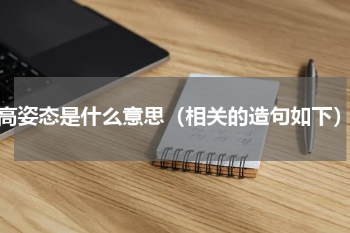 高姿态是什么意思（相关的造句如下）