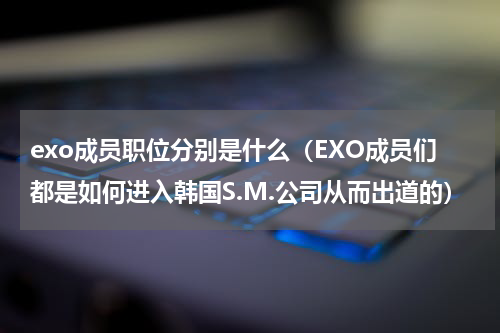 exo成员职位分别是什么（EXO成员们都是如何进入韩国S.M.公司从而出道的）