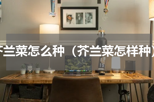 芥兰菜怎么种（芥兰菜怎样种）