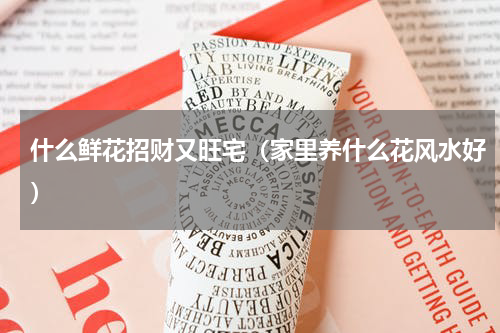 什么鲜花招财又旺宅（家里养什么花风水好）