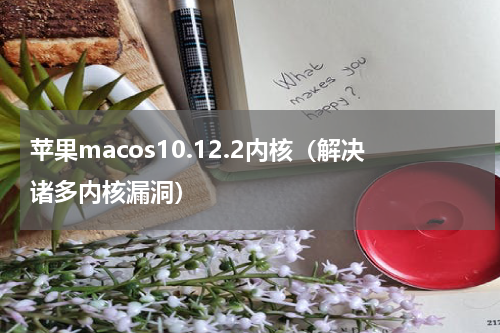 苹果macos10.12.2内核（解决诸多内核漏洞）