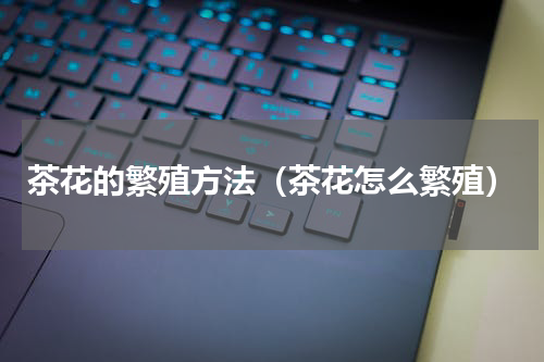 茶花的繁殖方法（茶花怎么繁殖）
