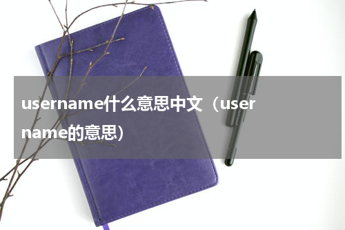 username什么意思中文（username的意思）