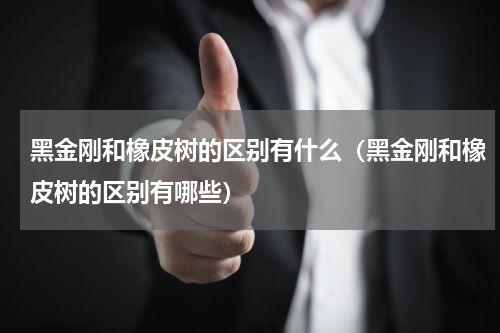 黑金刚和橡皮树的区别有什么（黑金刚和橡皮树的区别有哪些）