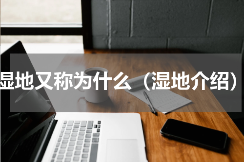 湿地又称为什么（湿地介绍）