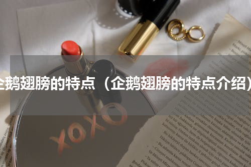 企鹅翅膀的特点（企鹅翅膀的特点介绍）