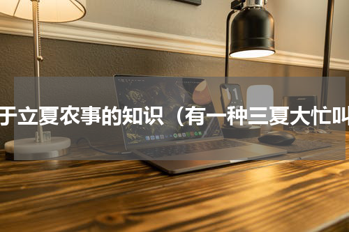 关于立夏农事的知识（有一种三夏大忙叫）