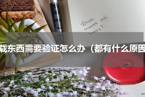 下载东西需要验证怎么办（都有什么原因）