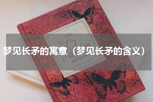梦见长矛的寓意（梦见长矛的含义）
