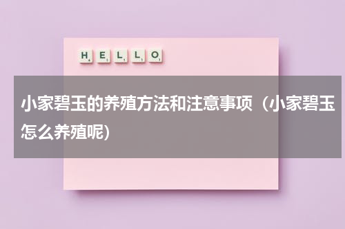 小家碧玉的养殖方法和注意事项（小家碧玉怎么养殖呢）