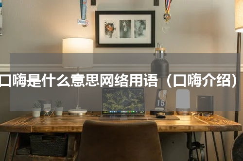 口嗨是什么意思网络用语（口嗨介绍）