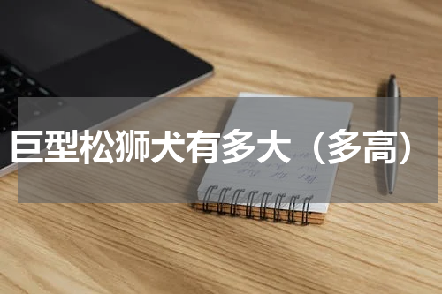 巨型松狮犬有多大（多高）