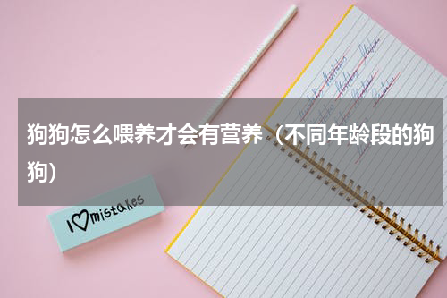 狗狗怎么喂养才会有营养（不同年龄段的狗狗）