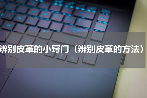 辨别皮革的小窍门（辨别皮革的方法）