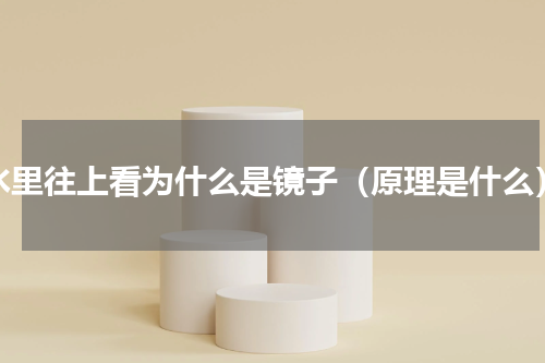 水里往上看为什么是镜子（原理是什么）