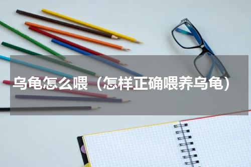 乌龟怎么喂（怎样正确喂养乌龟）