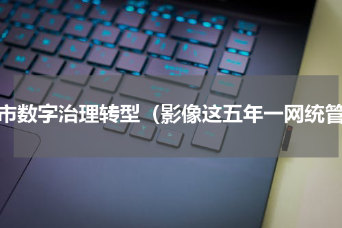 城市数字治理转型（影像这五年一网统管）