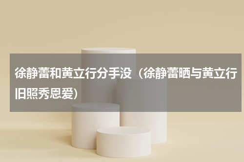 徐静蕾和黄立行分手没（徐静蕾晒与黄立行旧照秀恩爱）