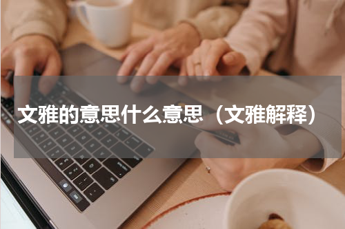 文雅的意思什么意思（文雅解释）