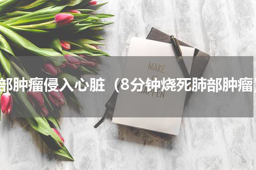 肺部肿瘤侵入心脏（8分钟烧死肺部肿瘤）