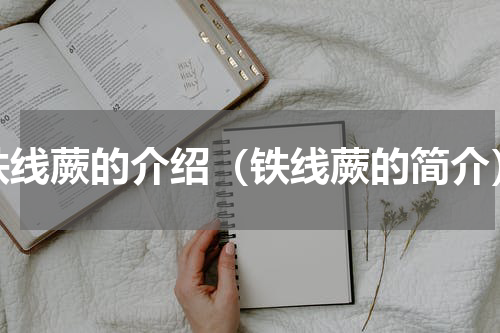 铁线蕨的介绍（铁线蕨的简介）