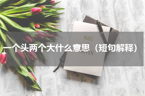 一个头两个大什么意思（短句解释）