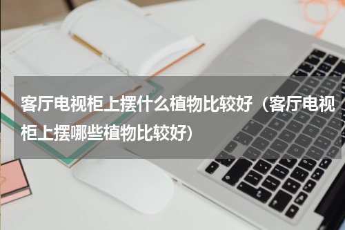 客厅电视柜上摆什么植物比较好（客厅电视柜上摆哪些植物比较好）