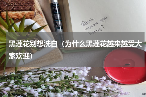 黑莲花别想洗白（为什么黑莲花越来越受大家欢迎）