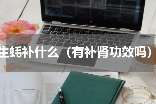 生蚝补什么（有补肾功效吗）