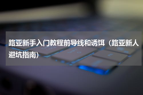 路亚新手入门教程前导线和诱饵（路亚新人避坑指南）