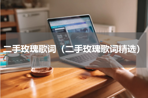 二手玫瑰歌词（二手玫瑰歌词精选）