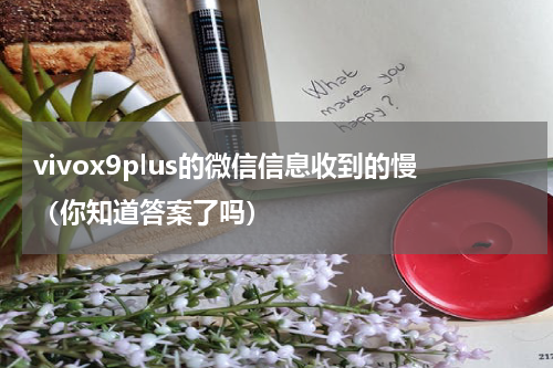vivox9plus的微信信息收到的慢（你知道答案了吗）