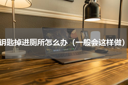 钥匙掉进厕所怎么办（一般会这样做）