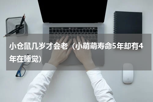 小仓鼠几岁才会老（小萌萌寿命5年却有4年在睡觉）