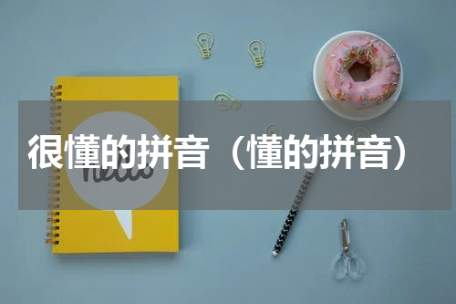 很懂的拼音（懂的拼音）