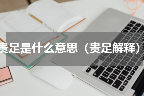 贵足是什么意思（贵足解释）