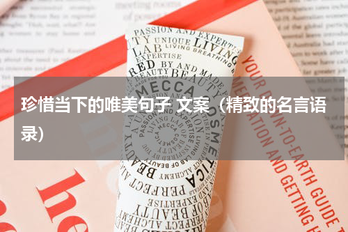 珍惜当下的唯美句子 文案（精致的名言语录）