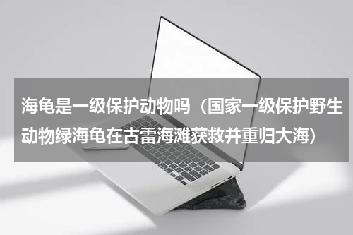 海龟是一级保护动物吗（国家一级保护野生动物绿海龟在古雷海滩获救并重归大海）