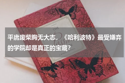 平庸废柴胸无大志，《哈利波特》最受嫌弃的学院却是真正的宝藏？