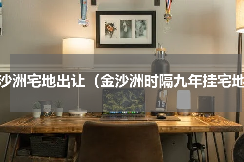 金沙洲宅地出让（金沙洲时隔九年挂宅地）