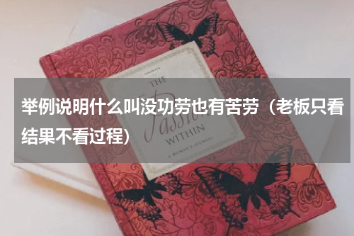 举例说明什么叫没功劳也有苦劳（老板只看结果不看过程）