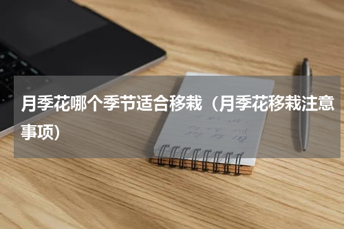 月季花哪个季节适合移栽（月季花移栽注意事项）