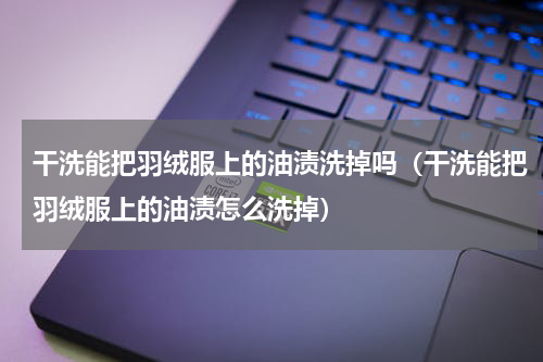 干洗能把羽绒服上的油渍洗掉吗（干洗能把羽绒服上的油渍怎么洗掉）