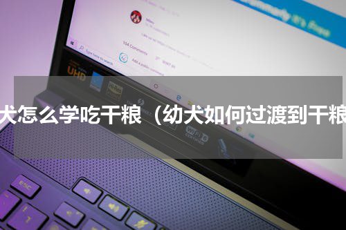 幼犬怎么学吃干粮（幼犬如何过渡到干粮）