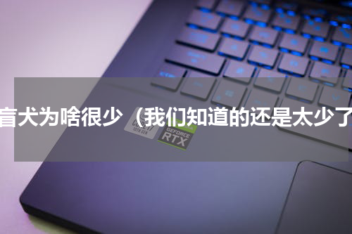 导盲犬为啥很少（我们知道的还是太少了）