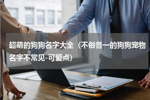 超萌的狗狗名字大全（不俗各一的狗狗宠物名字不常见-可爱点）