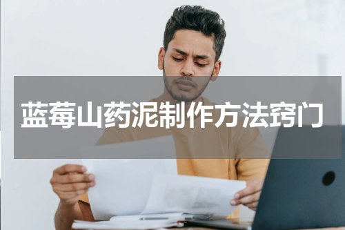 蓝莓山药泥制作方法窍门