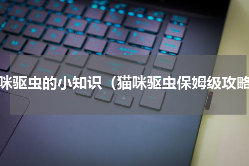猫咪驱虫的小知识（猫咪驱虫保姆级攻略）
