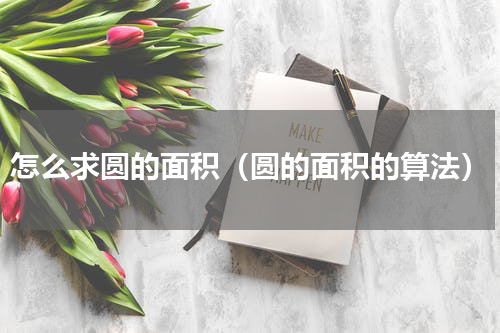 怎么求圆的面积（圆的面积的算法）