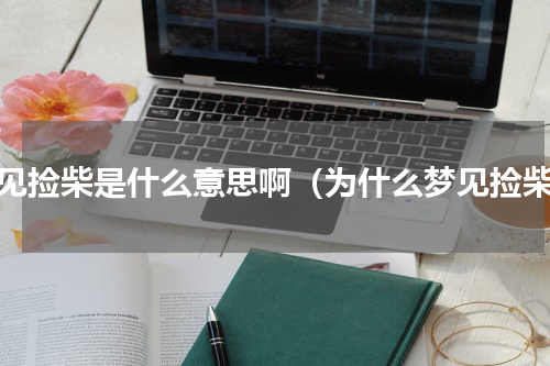 梦见捡柴是什么意思啊（为什么梦见捡柴）